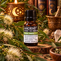 Olio Essenziale Biologico Tea Tree